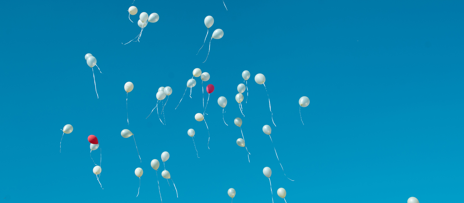 Luftballons bei einer Hochzeit steigen in den Himmel, viele davon sind weiß, zwei davon sind rot
